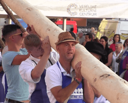 Hody ve Veselí zahájilo stavění máje