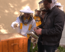 Studenti gymnázia letos vytočili přes 43 kilogramů medu od svých třech včelstev