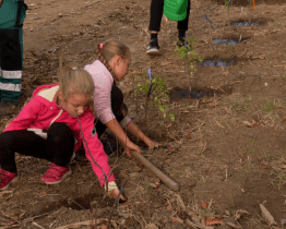 Komu se nelení, tomu se zelení