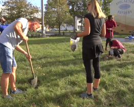 Kapesní park v Hodoníně rozzáří na jaře narcisy