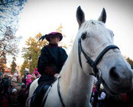 Vždy se trochu obáváme, jestli klisna něco nevyvede, říká organizátorka zlínského průvodu Martínků 