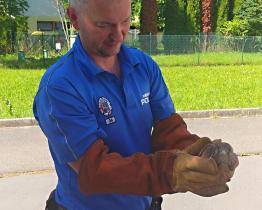 Luhačovičtí strážníci často řeší i kuriózní odchyty zvířat