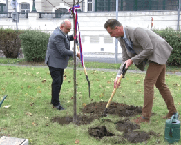 Lípa přátelství připomíná dvacet let spolupráce Hodonína a Holíče