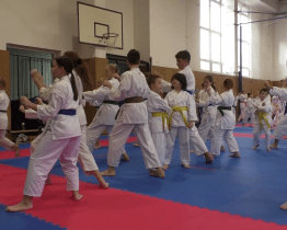Akademie karate ve Valašském Meziříčí pořádala krajské kolo v tradičním karate