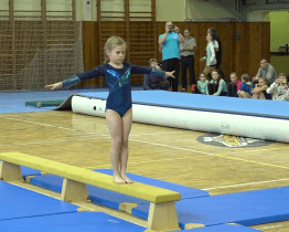 Sportovní hala v Rožnově hostila Česko-slovenské gymnastické hry