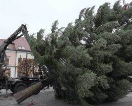 Na náměstí v Kyjově jsou letos dva vánoční stromy