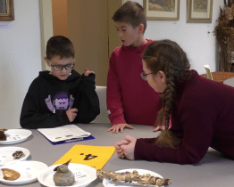 V soutěži Jaloveček se utkalo 300 školáků