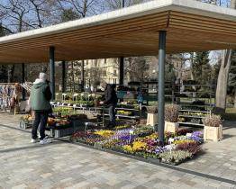 Tržiště Pod Kaštany se od ledna uzavře. Proč?