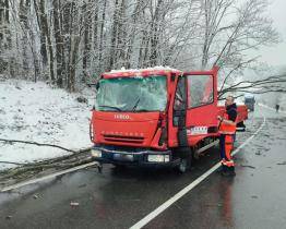 Velká větev probodla kabinu nákladního auta. Řidič jako zázrakem vyvázl jen s oděrkami