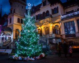 Vánoce ve zlínské zoo začnou už tuto neděli. Zvířatům můžete donést dárek v podobě ovoce či zeleniny