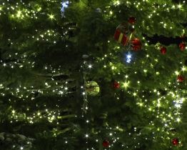 Rozsvícení vánočního stromu v Kyjově provázely adventní trhy