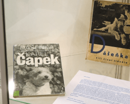 Kvartáni oslavili devadesátiny štěněte Dášeňky Karla Čapka vernisáží 