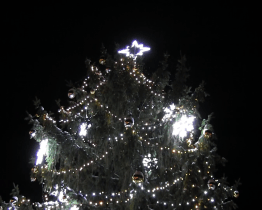 Vánoční těšení potěšilo i dětské oddělení Uherskohradišťské nemocnice