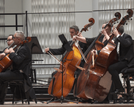 Co by to bylo za Vánoce bez Ryby?