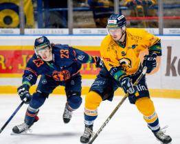 Berani padli s Litoměřicemi, Vsetín podlehl Frýdku-Místku