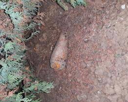 Muž z Hluku našel u domu dělostřeleckou minu. Policie nejbližší okolí evakuovala