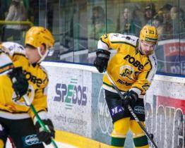 Berani zdolali Pardubice B, Vsetín doma podlehl Znojmu po nájezdech