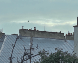 Občané mohou stále žádat o kotlíkové dotace