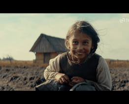 Kino Hvězda zve na přehlídku současného skandinávského filmu