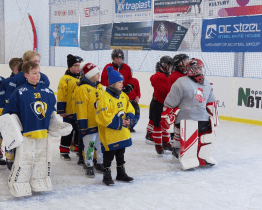 Hokejový turnaj v Napajedlích ovládli mladí Berani 