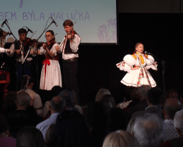 Termín podání přihlášek na přehlídku Zazpívej, slavíčku se nezadržitelně blíží