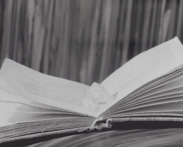 Fotografie Davida Herdina dávají nový význam obyčejným věcem