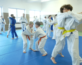 Japonští judisté předávali své zkušenosti