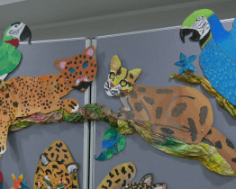 Jaguáři, oceloti, opice, ptáci a noční motýli mají v amazonském pralese barevné sny