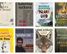 Krajská knihovna zveřejnila nejpůjčovanější knihy roku 2023. Podívejte se, o jaké tituly měli čtenáři největší zájem