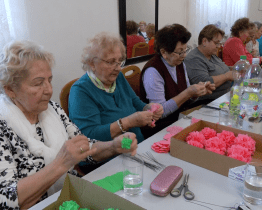 Přes 30 000 růžiček bude zdobit koně na květnové Jízdě králů