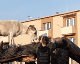 Příměstské tábory v Hodoníně se začínají pomalu zaplňovat