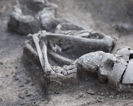 O prezentaci nejnovějších archeologických objevů byl velký zájem