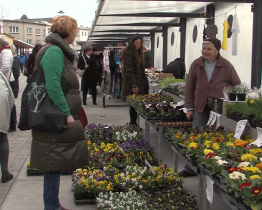 Zlín se chystá na první jarní akce. Ožít má hlavně Tržiště Pod Kaštany