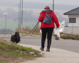 V Uherském Brodě se blíží termín uhrazení poplatků za psy