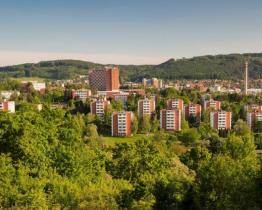 Zlínská radnice pokračuje v revitalizaci městské zeleně. Pokácené stromy nahrazují nové