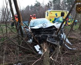 Po nárazu do stromu skončila řidička v nemocnici
