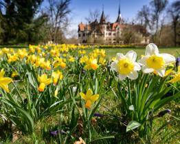 Zlínská zoo láká na probouzející se přírodu i speciální prohlídky zámku