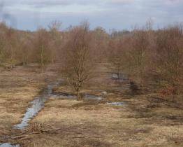 Otrokovice vyrazily do předjarního boje proti komárům. Jejich larvy hubí na Baťově