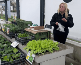 Tržiště Pod Kaštany čeká první dubnovou sobotu slavnostní otevření