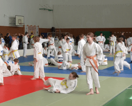 Mladí judisté bojovali o medaile