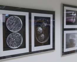 Neobyčejná výstava Obyčejných věcí Jana Botka je k vidění v art GALERII info 