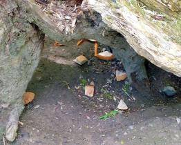 Muž ze Zlína vysypal na břehu řeky zbytky jídla. Strážníci ho „odměnili“ pokutou