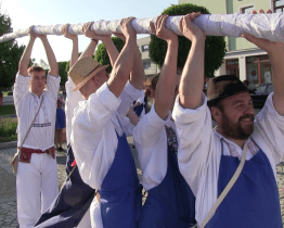 Folkloristé vztyčili máju tradičním způsobem