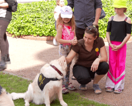 Den pro rodinu letos poprvé představil také sociální služby