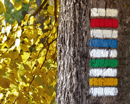 Kraj finančně podpoří obnovu turistického značení