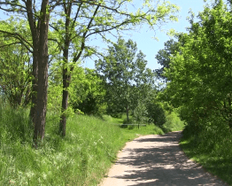 Setkání odborníků se zabývalo lokalitou Polámané