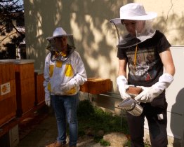 Mezi včelaře rozdělí kraj o 200 tisíc víc než loni