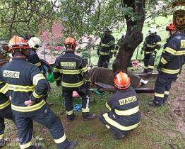 Kráva se ocitla v nesnázích, z bláta jí museli pomáhat hasiči