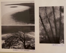 Fotografická soutěž TSTTT ocenila tvůrce