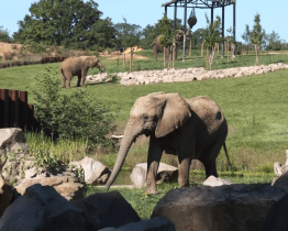 Vedení kraje podpoří rozšíření zlínské zoo 25 miliony korun